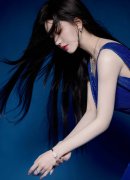 国地质查询拜访局局长、党组